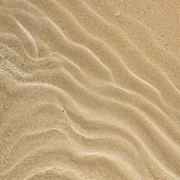 Collection Night in the Desert Setup